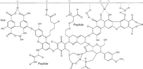 Proposed structure of humic acid. [150] | Download Scientific Diagram