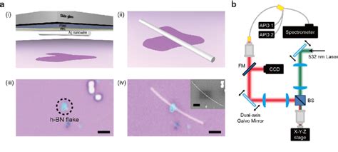 Positioning the Ag nanowire. (a) Precise positioning of the Ag nanowire... | Download Scientific ...