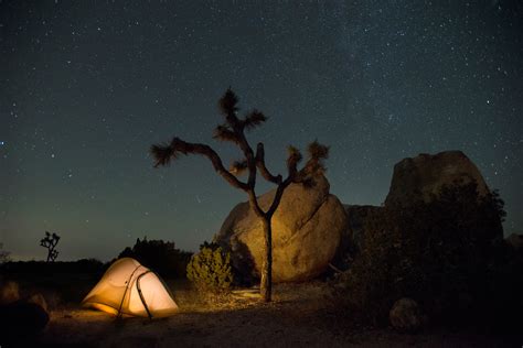 Ryan Campground - Joshua Tree National Park (U.S. National Park Service)