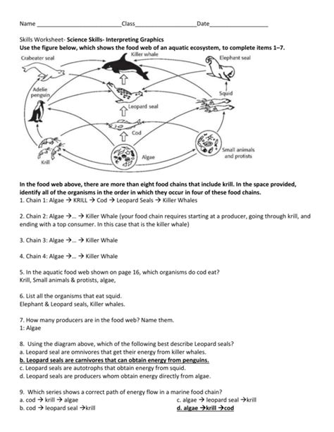 Food Chains And Food Webs Skills Worksheet Answers — db-excel.com