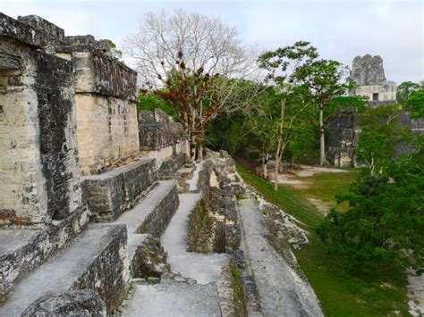 340+ Mayan Pyramids Tikal Landscape Mayan Stock Photos, Pictures ...