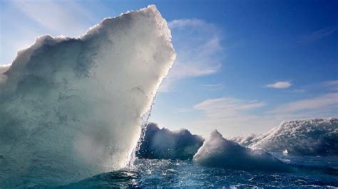 Arctic climate change being felt farther south, scientists say | CBC News