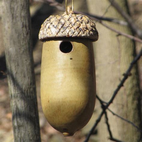 Chickadee Bird House Designs