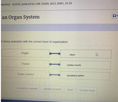 Match these examples with the correct level of organization Organ ...