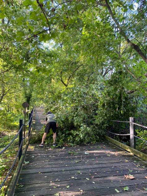 PHOTOS: Storm damage across Virginia | WRIC ABC 8News