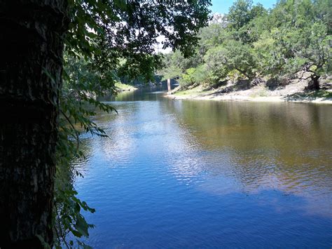 Suwannee River, Live Oak, FL this place holds my heart. | River, Places ...