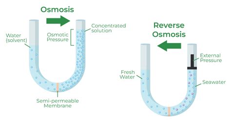 Reverse Osmosis - Definition, Principle, Process, Applications - GeeksforGeeks