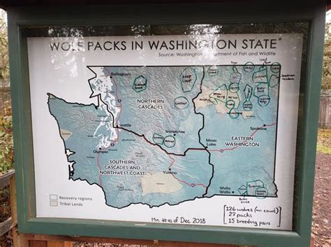 Wolf Haven International (Tenino) - 2020 All You Need to Know BEFORE You Go (with Photos ...