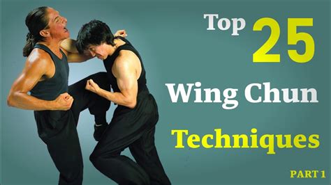 Wing Chun Techniques