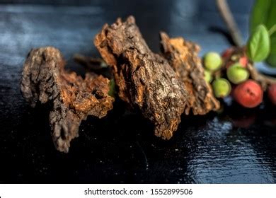 419 Ripe Banyan Tree Fruit Images, Stock Photos & Vectors | Shutterstock