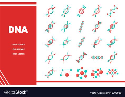 Dna Royalty Free Vector Image - VectorStock