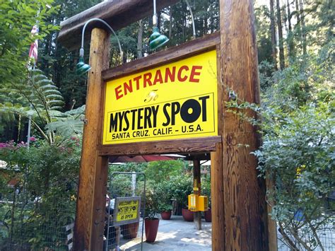 Mystery Spot - San Mateo County Guide