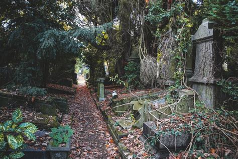 Hidden Belgium: The abandoned cemetery where Hergé is buried