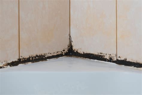 How to Prevent Mold and Mildew in Shower Caulk