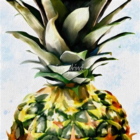 Stunning "Pineapple" Artwork For Sale on Fine Art Prints