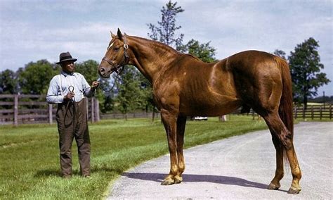 8 Interesting Facts About Man o' War (History, Earnings, Jockey, & Stats)