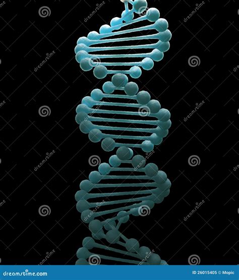 DNA Strand Model Royalty Free Stock Photo - Image: 26015405