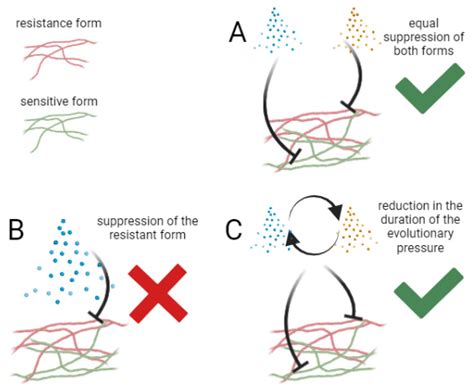 JoF | Free Full-Text | Phytophthora infestans: An Overview of Methods ...