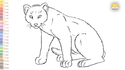 Mountain Lion drawing easy | How to draw Mountain Lion outline sketch step by step - YouTube