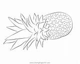 Biz Pineapples Coloring Page For Kids  Free Pineapple Printable sketch template