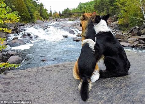 Dogs Lottie and Grizzly live in Ontario, Canada with owner Taylor Duguay | Daily Mail Online