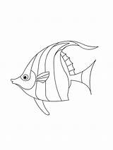 Angelfish coloring Pages sketch template