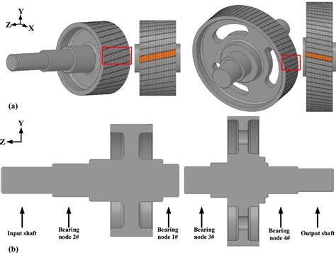 The three-dimensional structure of the a pinion and b gear | Download Scientific Diagram