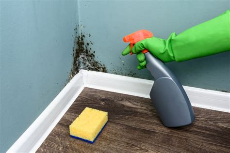 The Do’s & Don’ts of Removing Black Mold