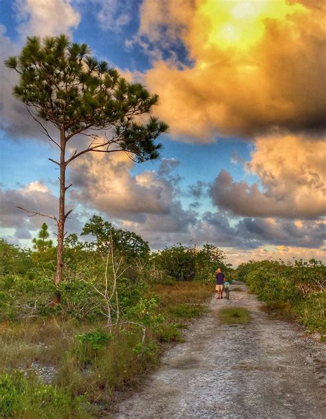 Missions & Goals — Florida Keys Wildlife Society