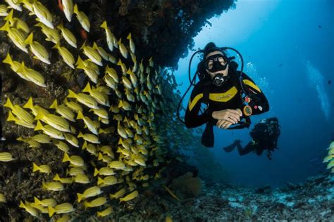 Taganga Diving in Taganga with Divanga