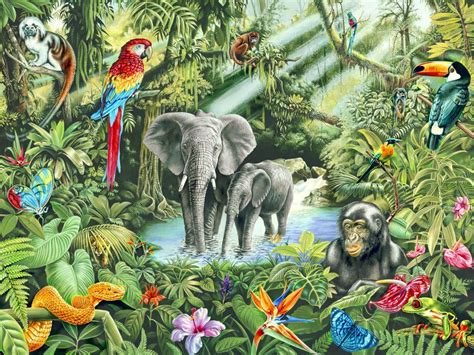 Jungle Rainforest Animals, Jungle Animals, Jungle Jungle, Rainforest Theme, Photo Wallpaper ...