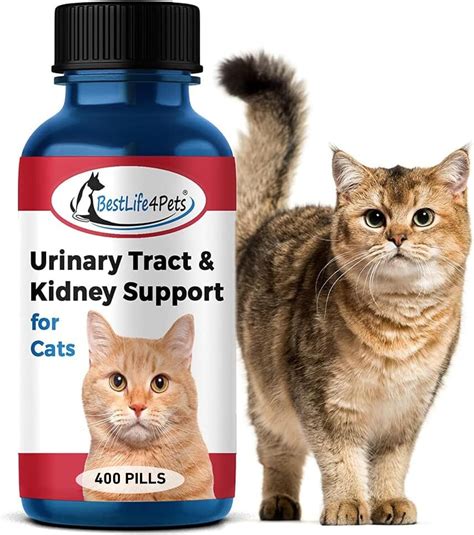 BestLife4Pets Cat UTI Urinary Tract Infection & Kidney Support Treatment - All Natural Medicine ...