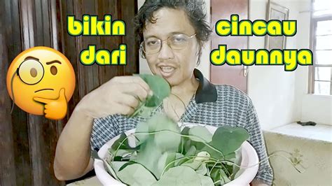 Bikin Minuman Cincau dari daunnya | Memeras daun cincau untuk dijadikan jeli agar-agar mudah ...