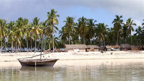 Vanishing Reefs: The Effects of Dynamite Fishing in Tanzania : Never Apart