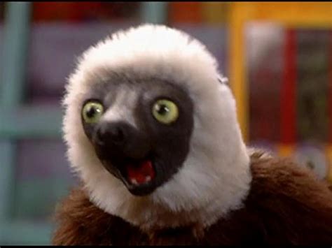 Zoboomafoo (1999)