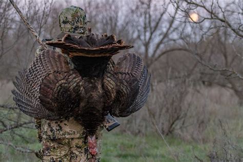 Guided Turkey Hunts in Texas | Dry Creek Outfitters