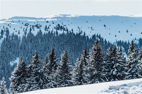 Austria, Paul Gilmore, snow, mountains, nature, landscape, far view, tundra, trees, pine trees ...