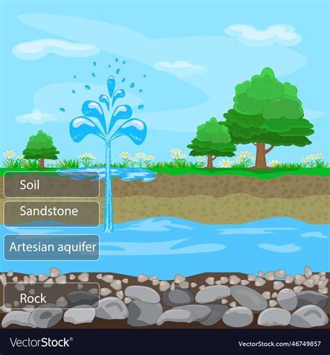 Artesian aquiferlayers of ground with water Vector Image