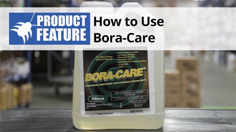 How to Use BORA-CARE Borate Wood Treatment - YouTube