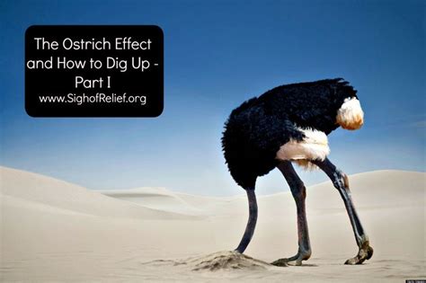 The Ostrich Effect and How to Dig Up – Part I | The ostrich, Dig, Ostrich