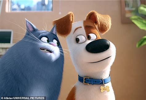 Films featuring Jack Russells including The Secret Life Of Pets, have raked in £700m | Daily ...