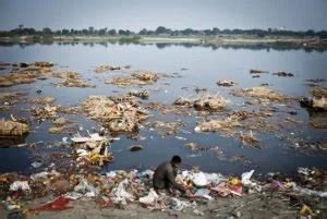 Indus River pollution | Learnodo Newtonic