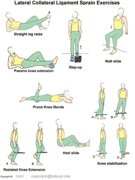 meniscus tear exercises pdf spanish - Edwina Schulte