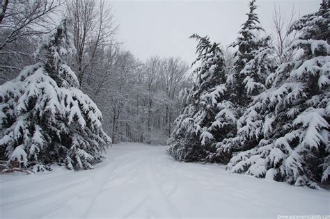 Blair Nebraska Snow Storm | Nebraska, Snow, Nature