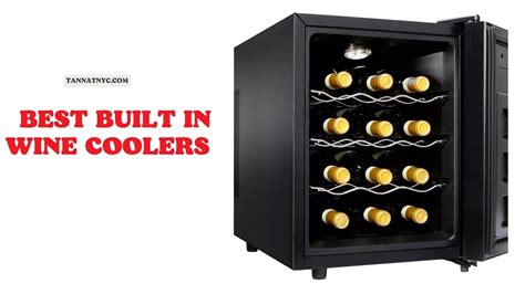 Top 10 The Best Built In Wine Coolers or Fridges in 2023 - Tannat Wine & Cheese