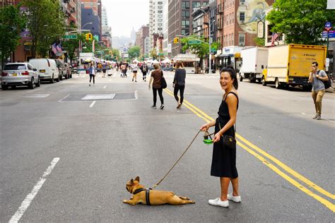 Woman With Dog at the Middle of the Street · Free Stock Photo