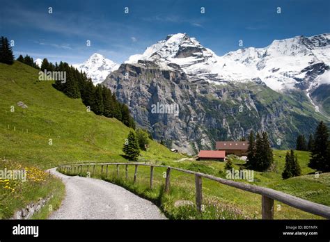 Picturesque mountain farm scenery in the Swiss Alps, Murren ...