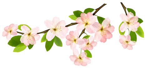 Branch Flower Clip art - spring png download - 4596*2114 - Free ...