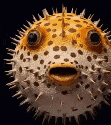 The Most Dangerous Animals In The World , Number 12 Will Surprise You - 369Rocks