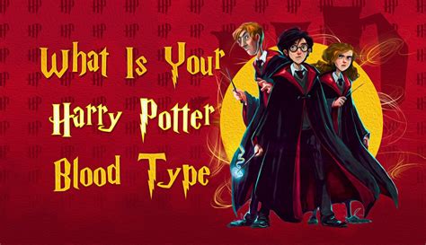 Quiz: What Is Your Harry Potter Blood Type? 100% Accurate